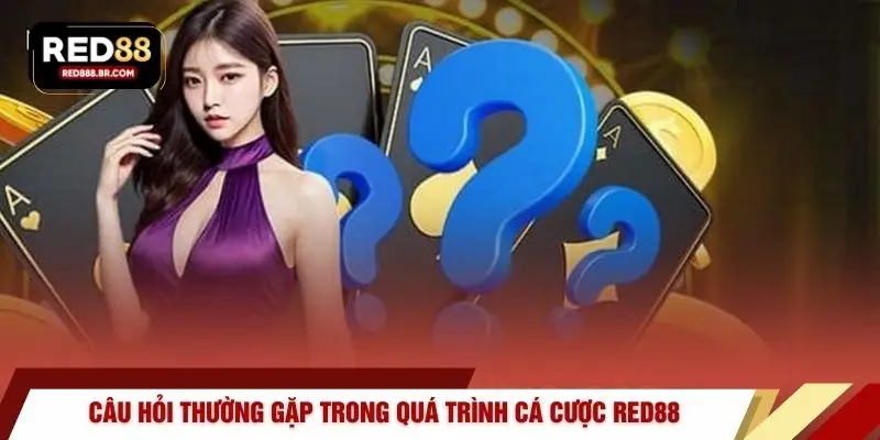 Câu hỏi thường gặp trong quá trình cá cược RED88